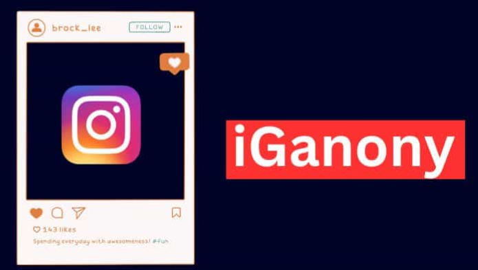 All You Need To Know About iganony